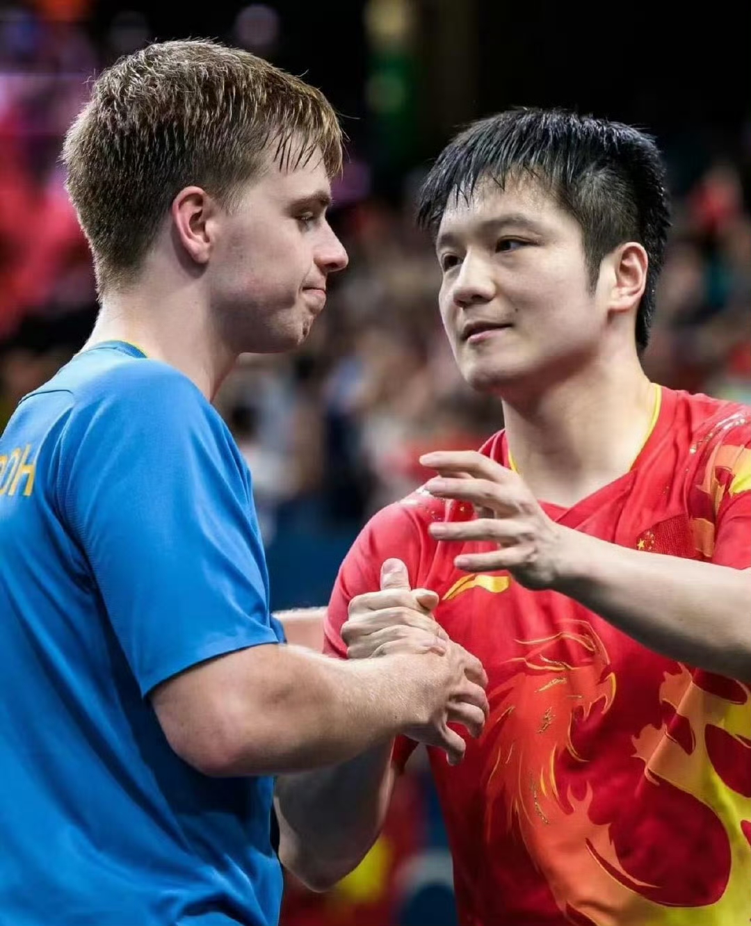 波兰队横扫德国队，樊振东状态火热的简单介绍