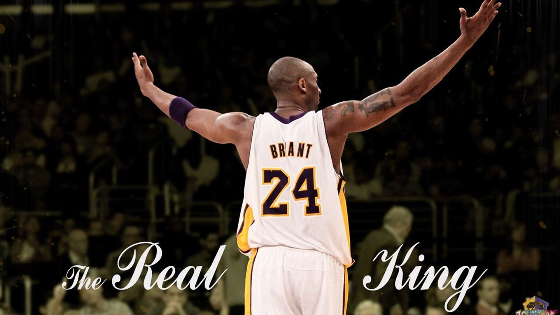 范弗利特末节狂飙导演逆转，奇才客场力克广厦显韧性